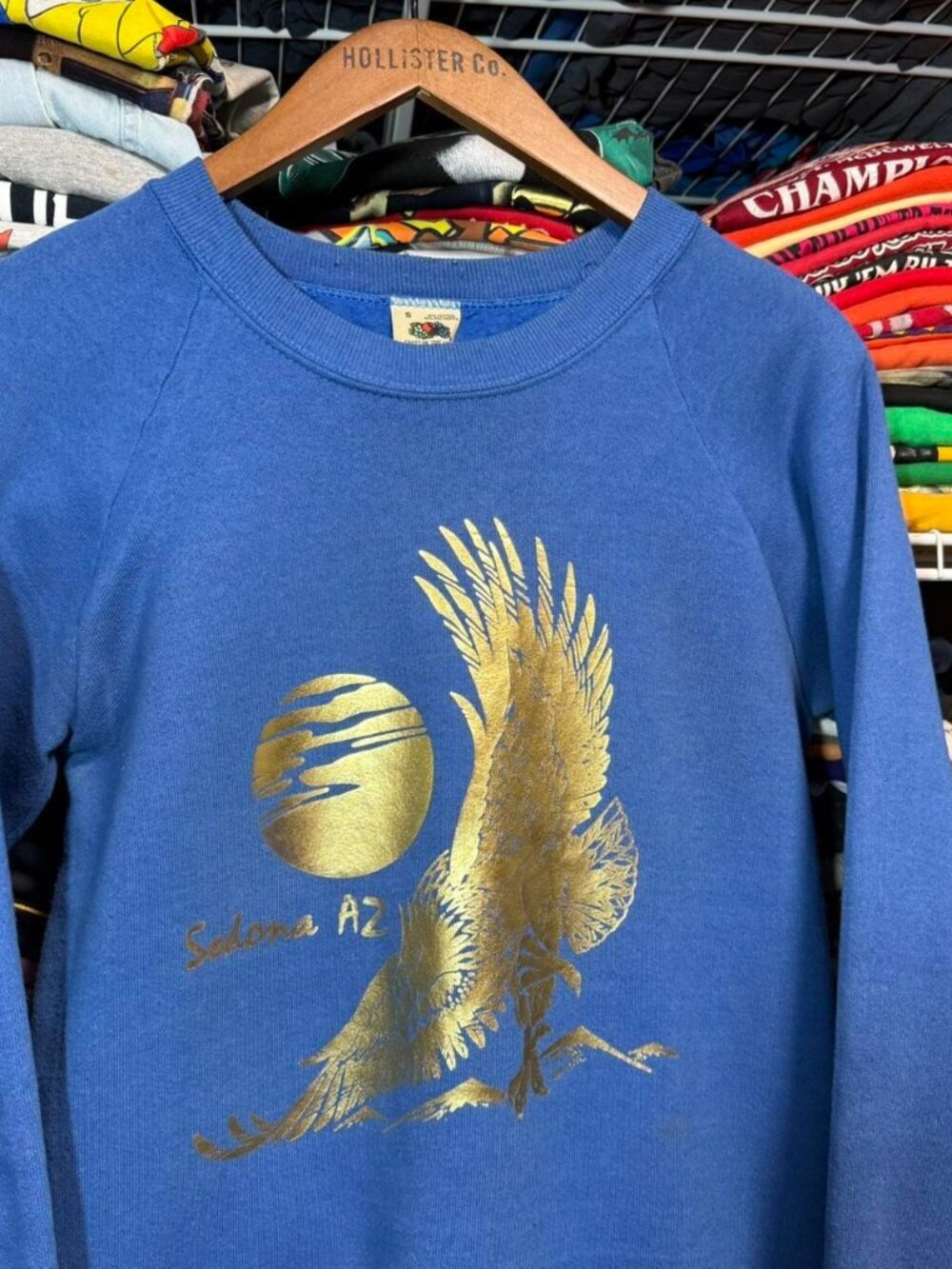 Vintage Sedona Arizona golden shimmery eagle nature graphic crewneck sweatshirt